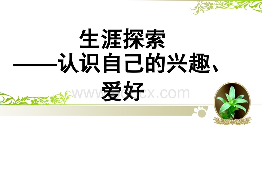 探索你的兴趣爱好.ppt_第1页