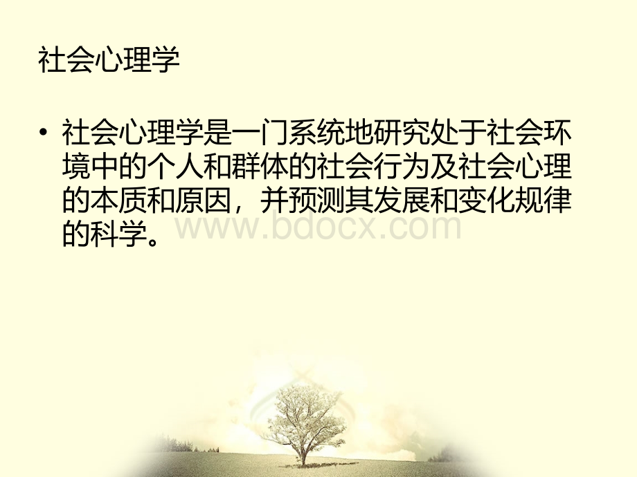 社会心理学(分支学科介绍).ppt_第2页