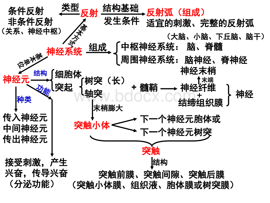 神经调节优质PPT.ppt_第1页