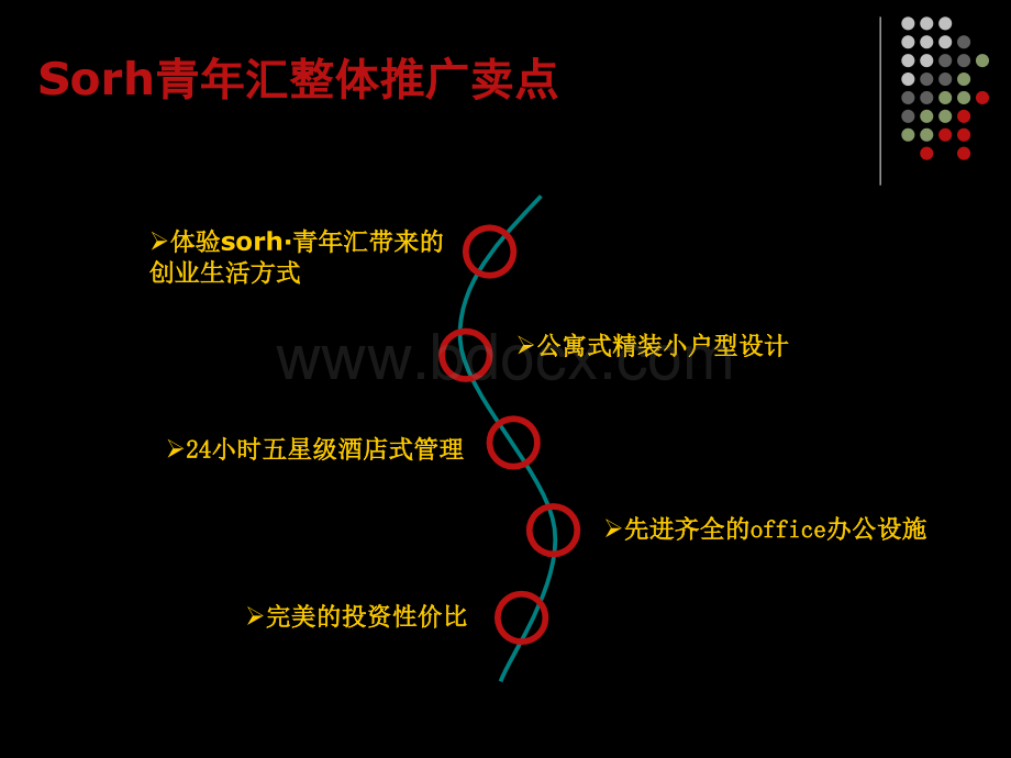 Sorh++青+年+汇整合推广方案PPT课件下载推荐.ppt_第2页