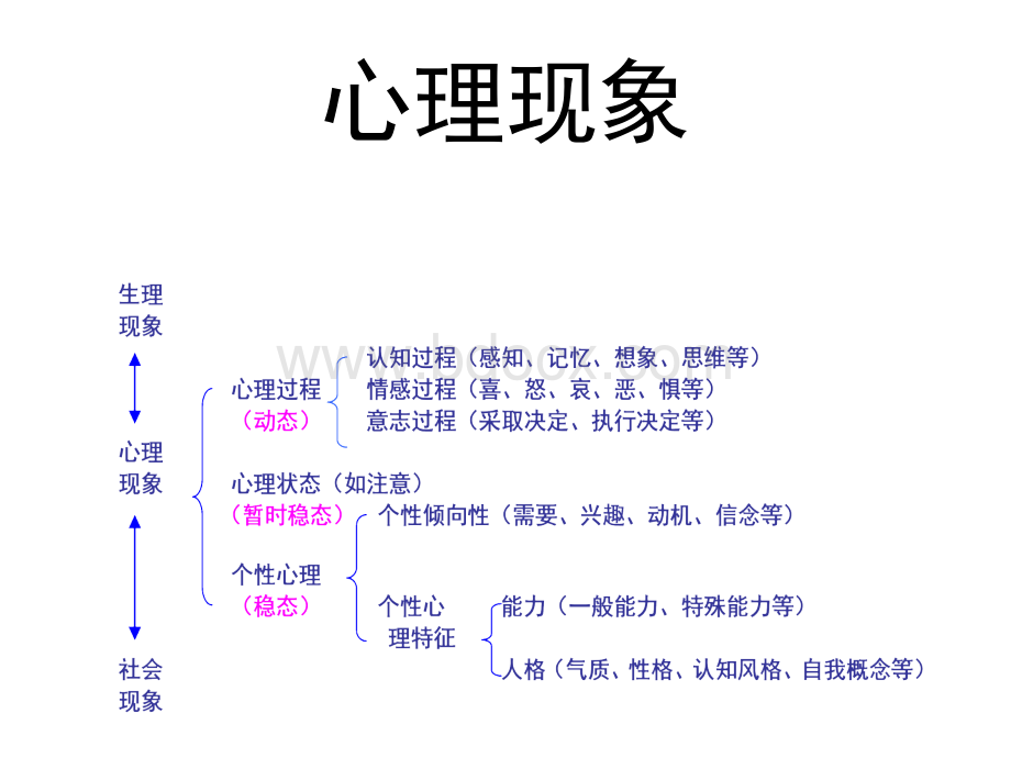 医学心理学心理过程PPT推荐.ppt_第2页