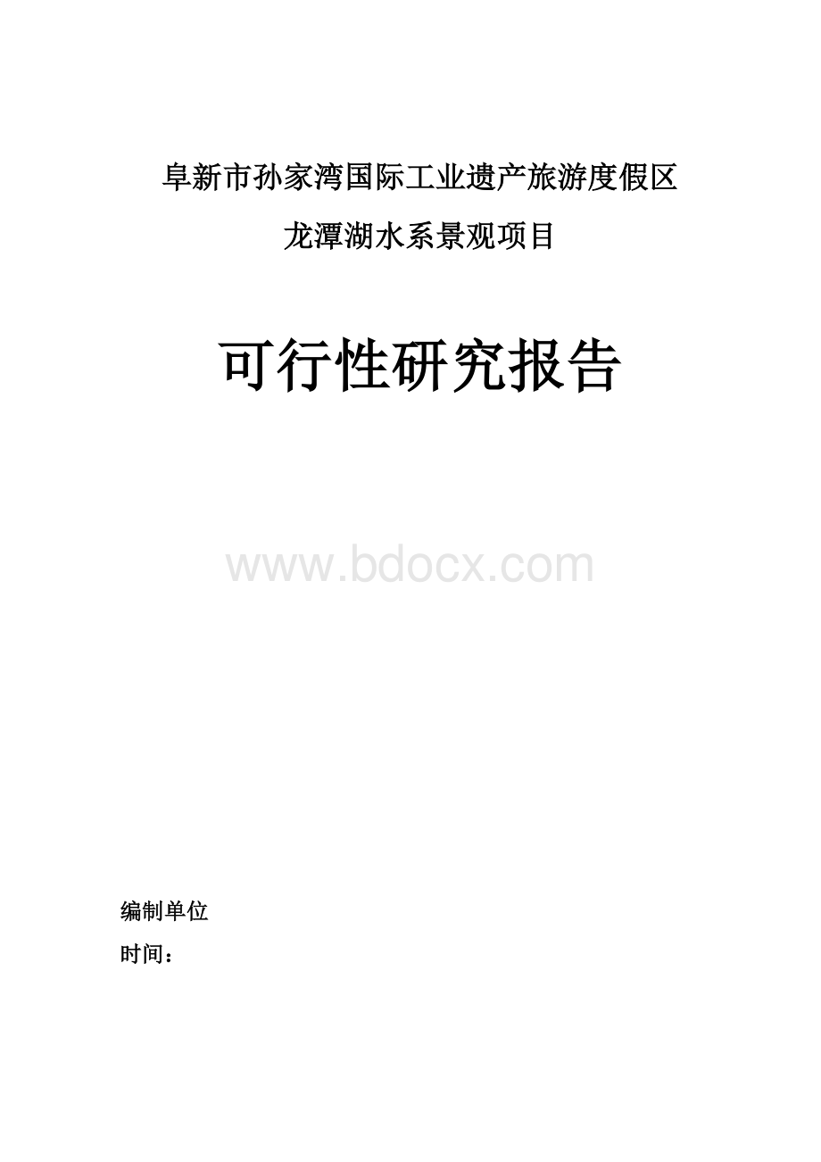 龙潭湖水系景观项目可行性研究报告Word格式.doc