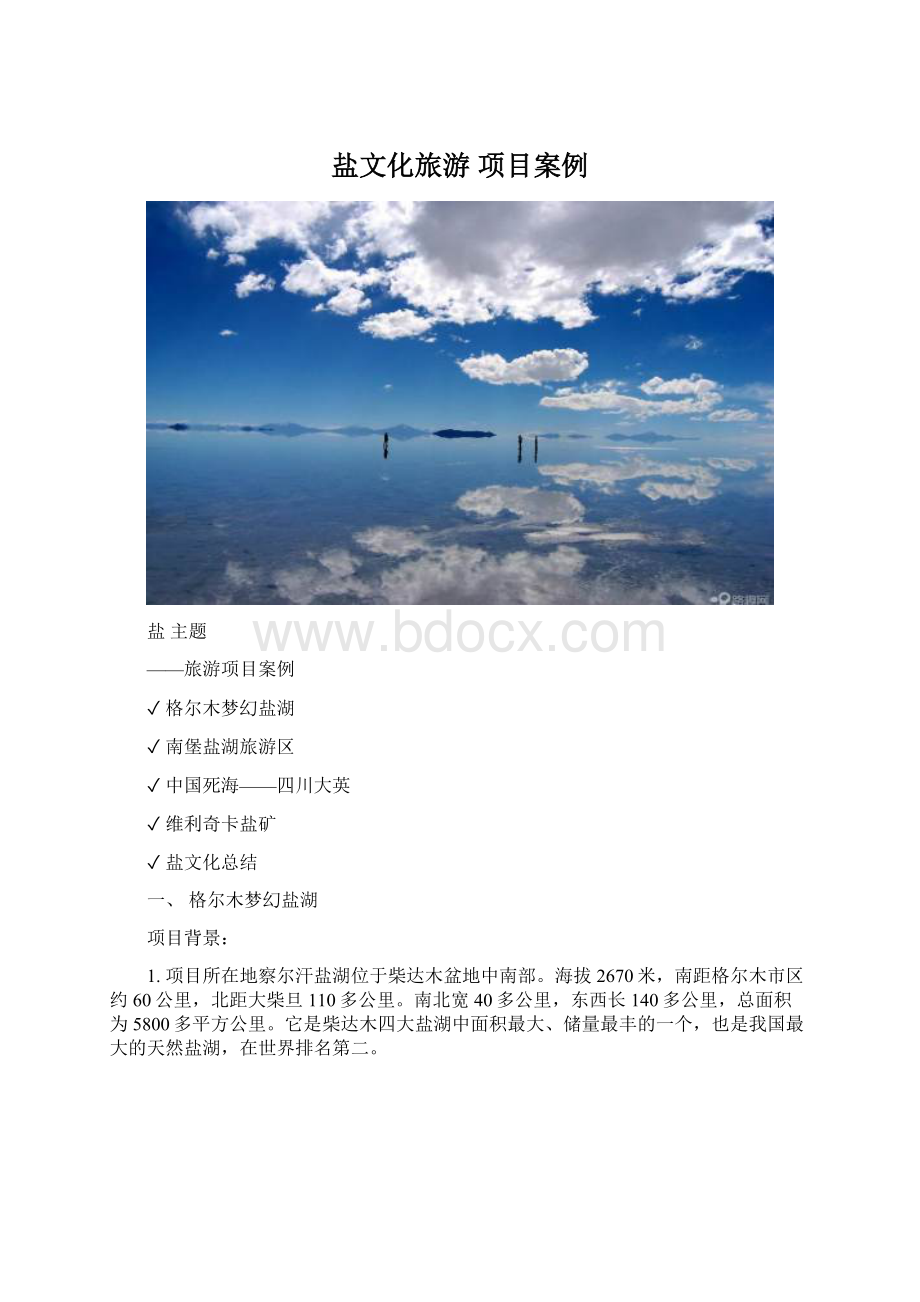 盐文化旅游 项目案例Word文档下载推荐.docx