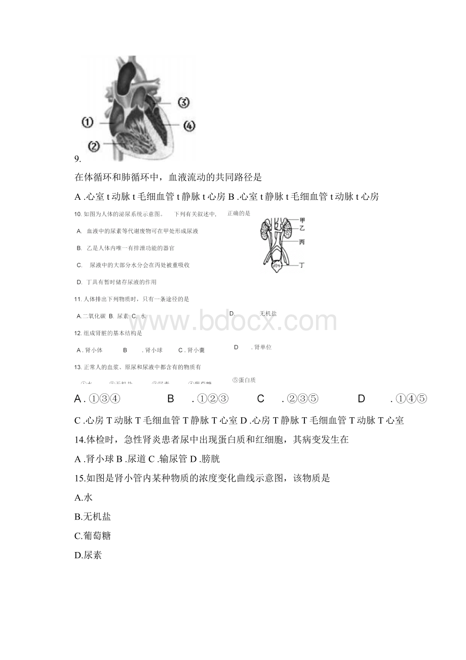 江苏省徐州市区八年级生物上学期期中试题.docx_第3页