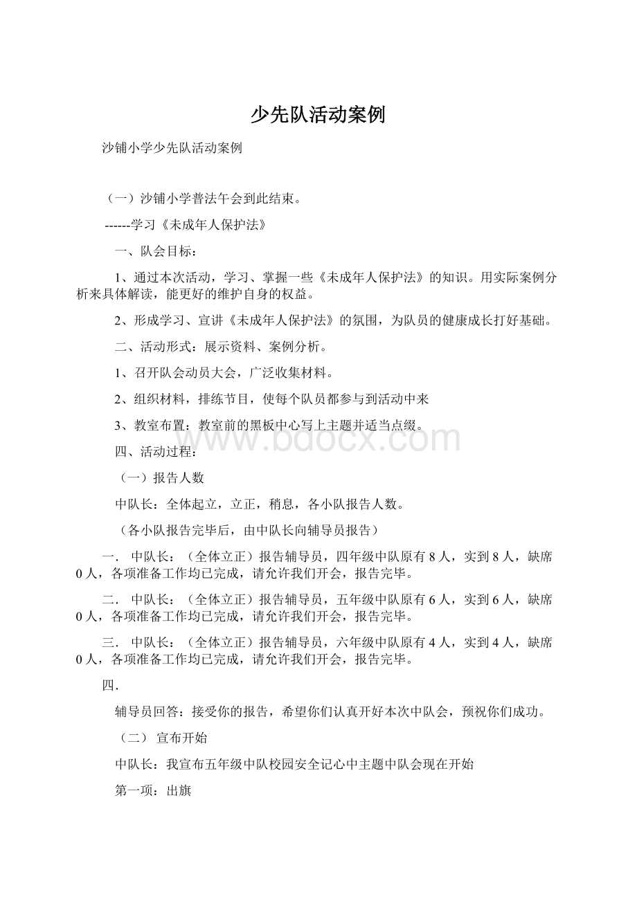 少先队活动案例Word文档格式.docx