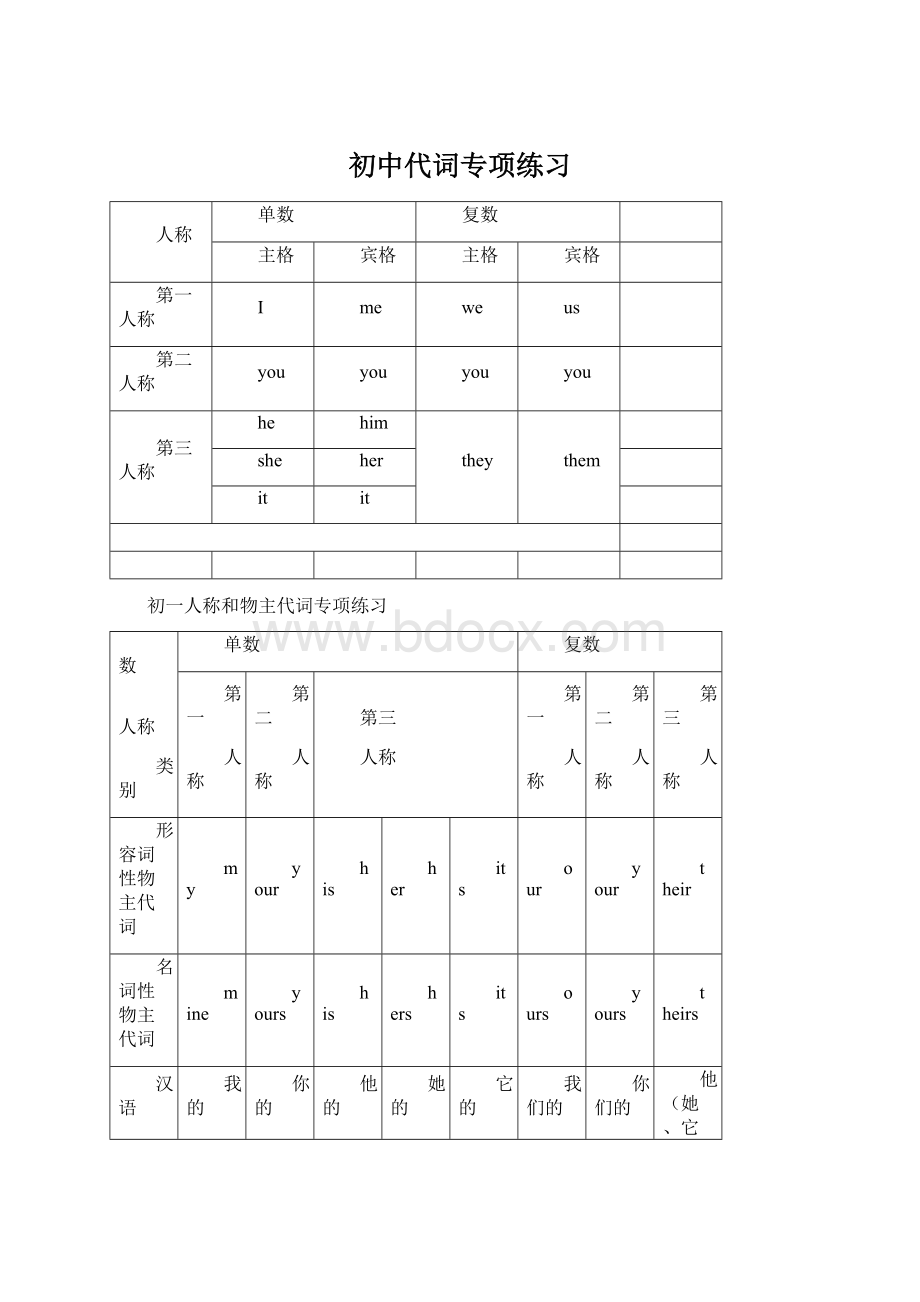 初中代词专项练习Word格式文档下载.docx_第1页