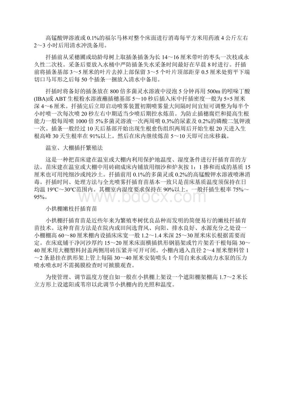 枣树繁殖技术Word格式文档下载.docx_第3页