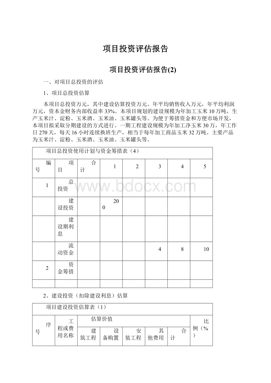 项目投资评估报告.docx