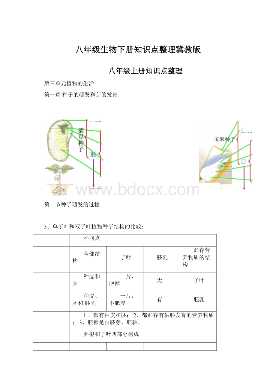 八年级生物下册知识点整理冀教版.docx_第1页