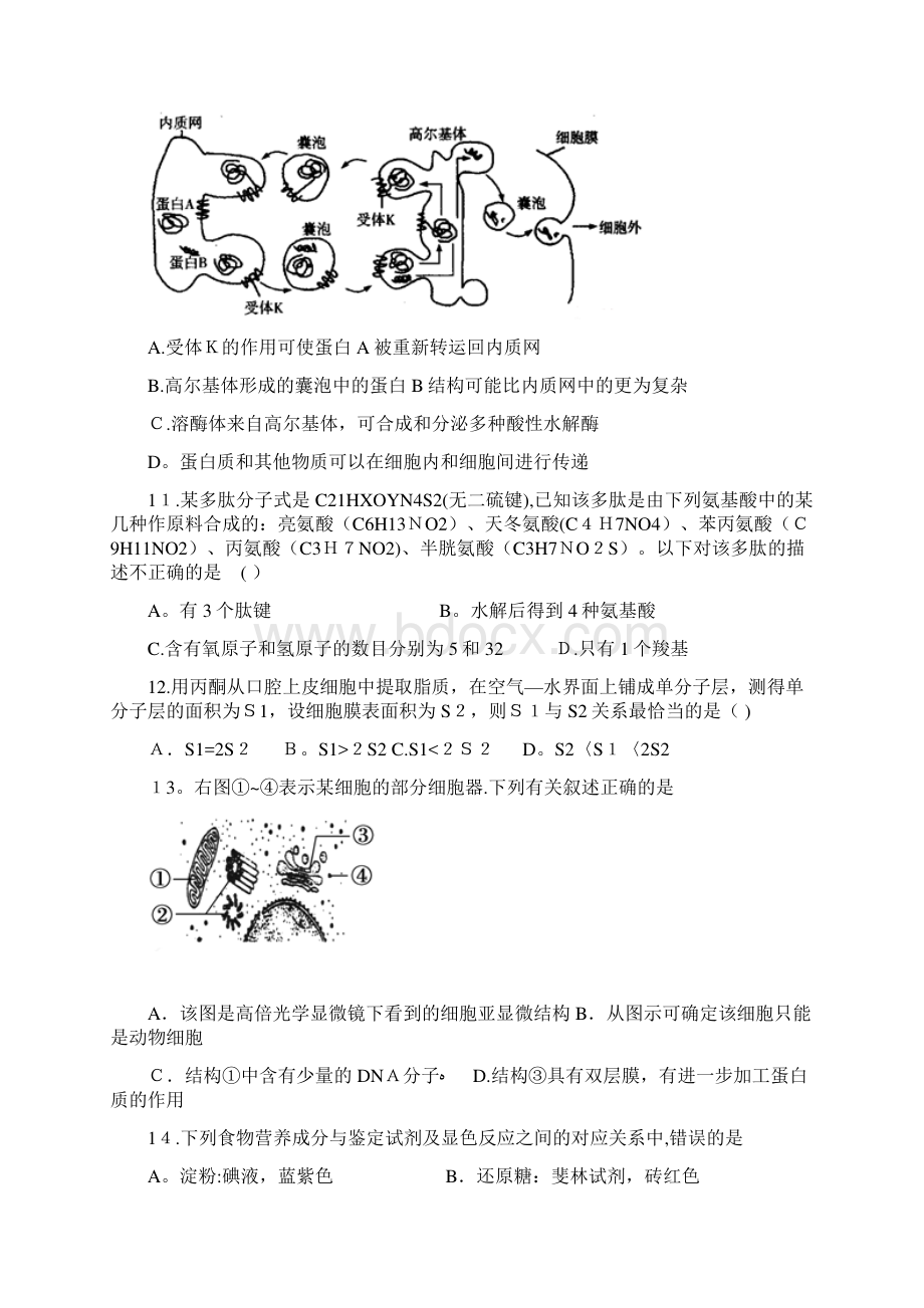 吉林省磐石一中最新高一月考生物试题.docx_第3页