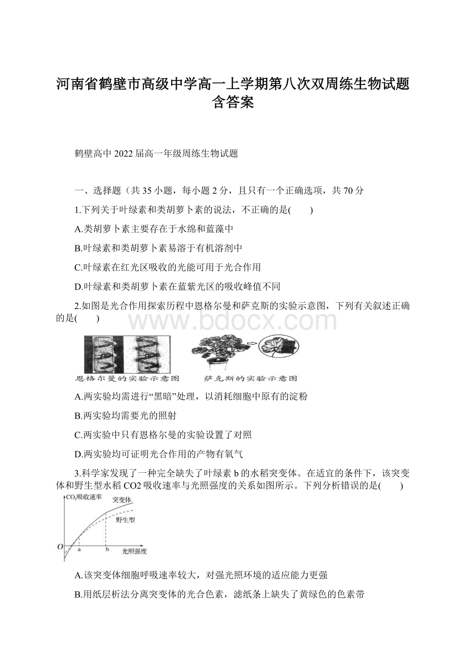 河南省鹤壁市高级中学高一上学期第八次双周练生物试题含答案.docx