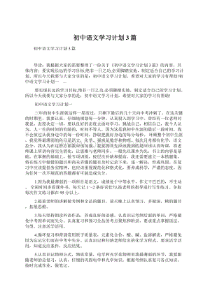 初中语文学习计划3篇文档格式.docx