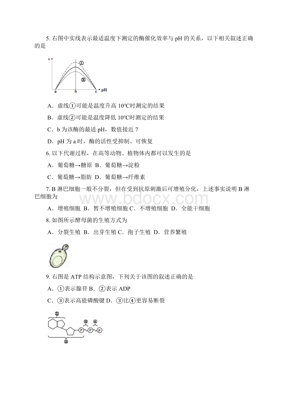 届上海市静安区高三上学期期末质量检生物试题.docx_第2页