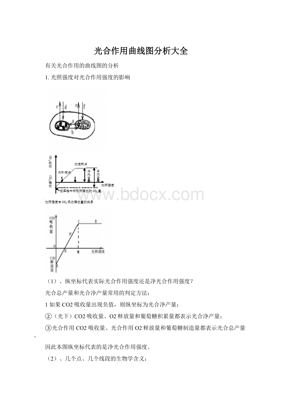 光合作用曲线图分析大全Word格式文档下载.docx_第1页