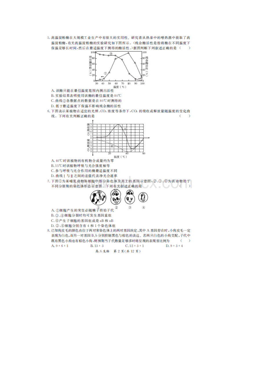 北京市届高三综合能力测试一生物试题Word文档下载推荐.docx_第2页