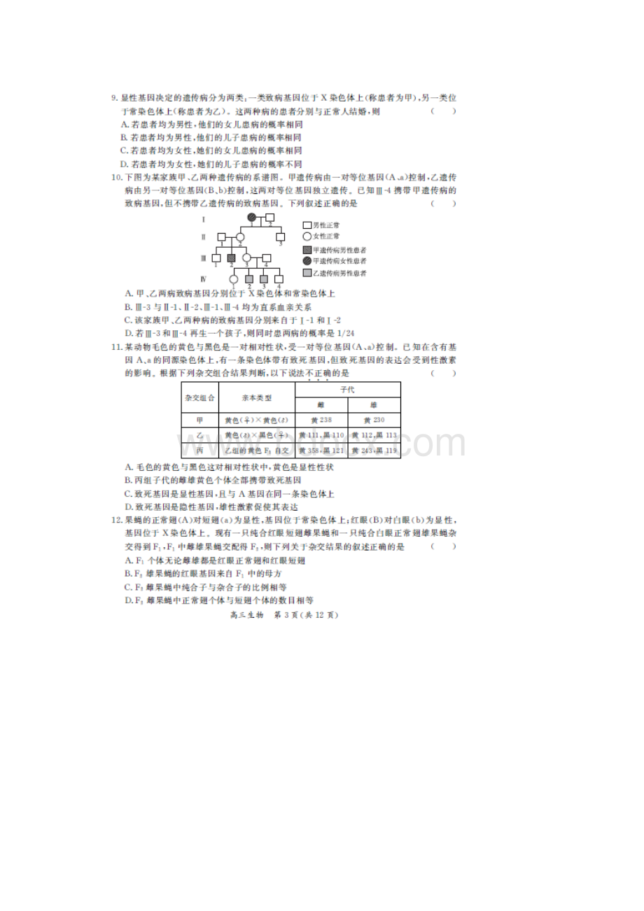 北京市届高三综合能力测试一生物试题Word文档下载推荐.docx_第3页