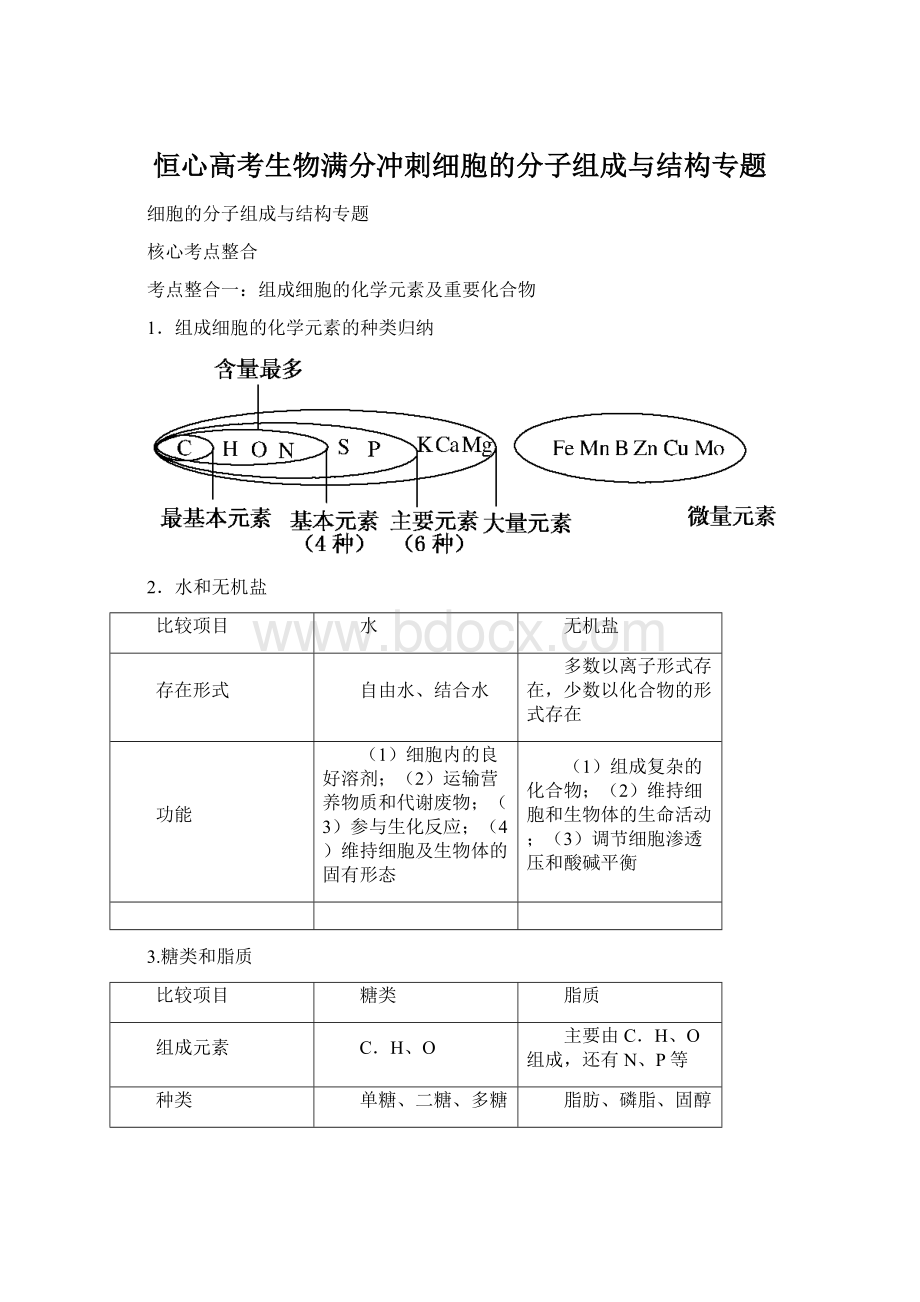 恒心高考生物满分冲刺细胞的分子组成与结构专题.docx_第1页