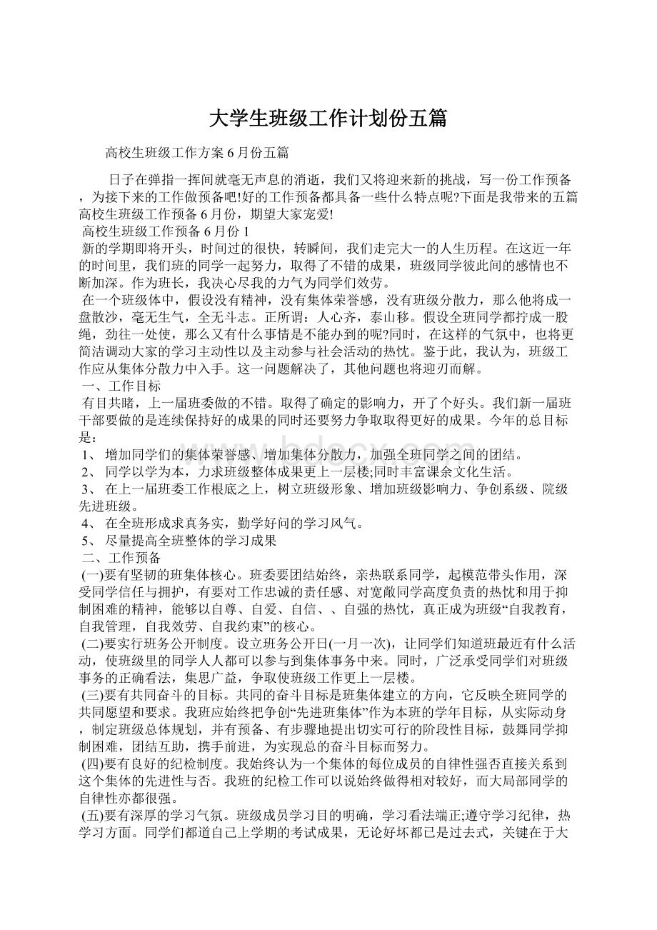 大学生班级工作计划份五篇Word下载.docx