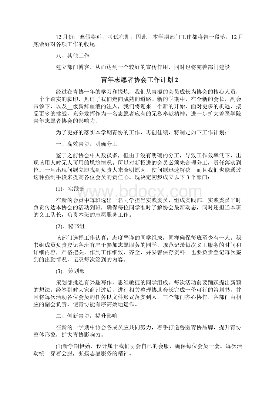 青年志愿者协会工作计划精选5篇.docx_第2页