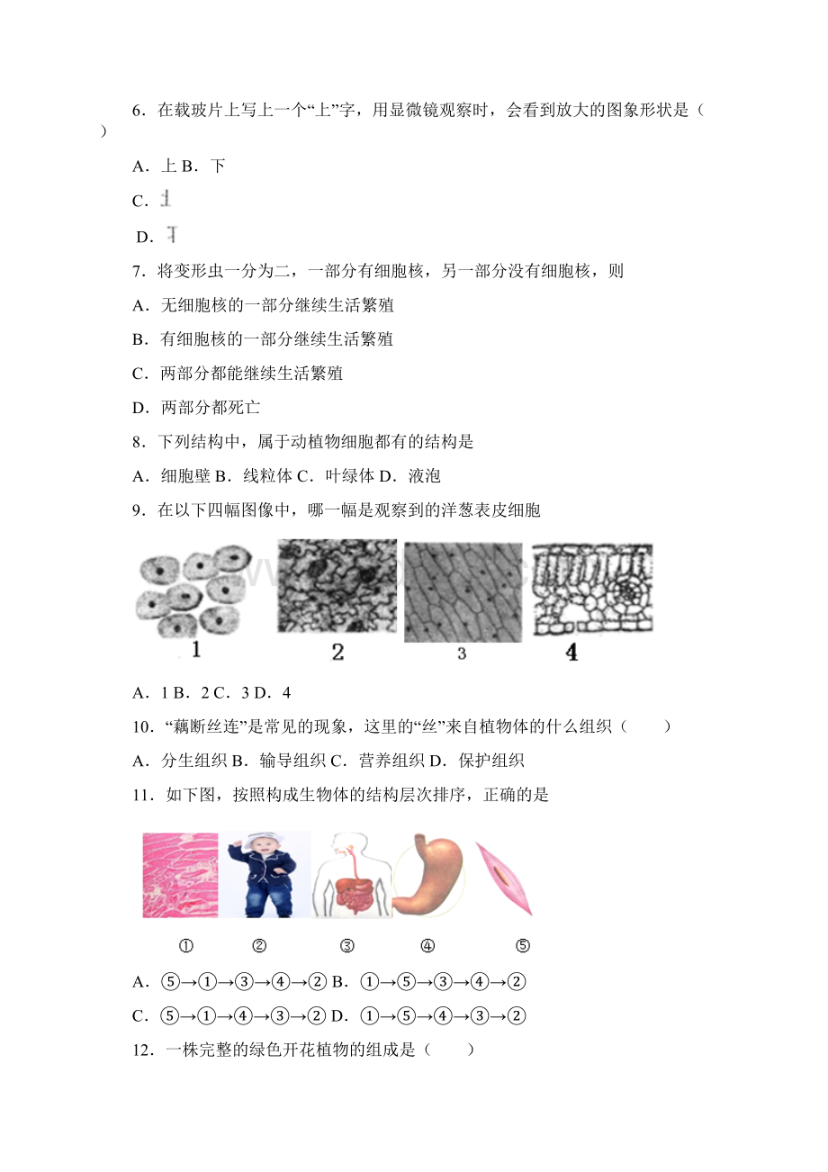 四川省成都市温江区学年七年级上学期期末生物试题.docx_第2页