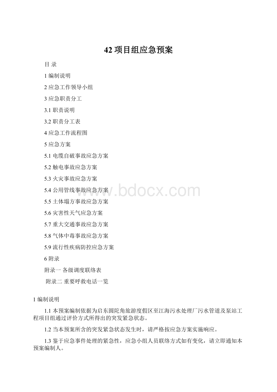 42项目组应急预案.docx