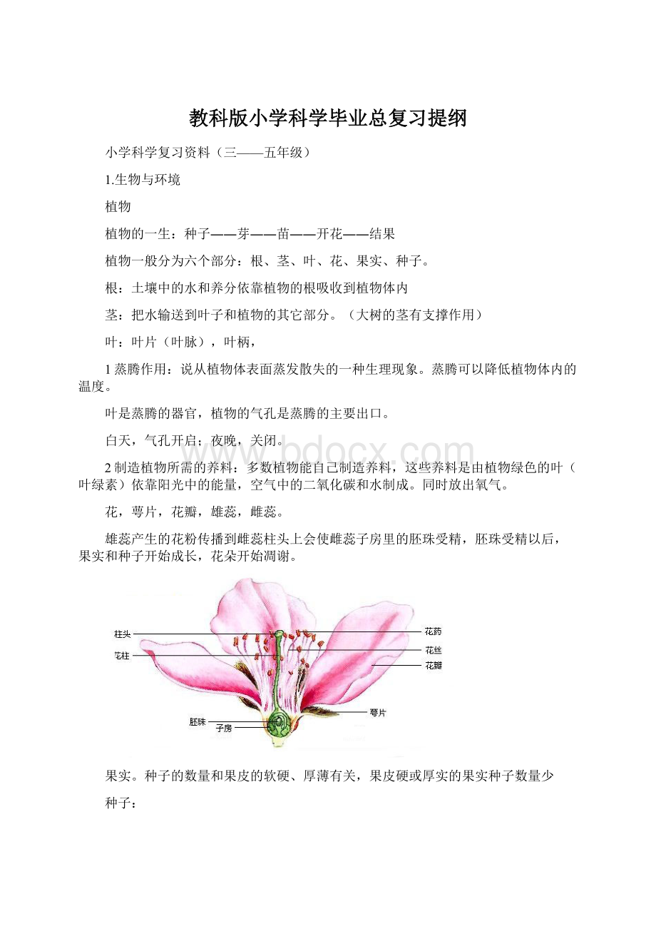 教科版小学科学毕业总复习提纲Word格式文档下载.docx