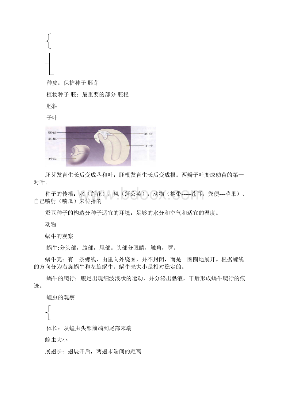 教科版小学科学毕业总复习提纲.docx_第2页