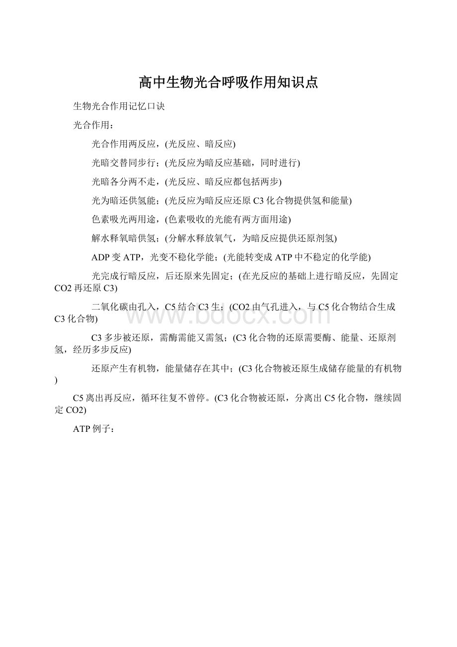 高中生物光合呼吸作用知识点Word文档格式.docx