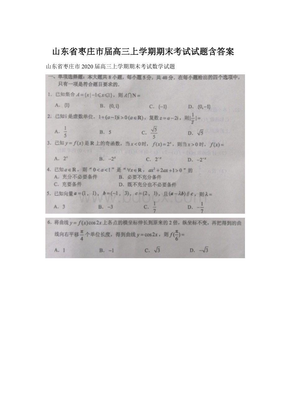 山东省枣庄市届高三上学期期末考试试题含答案.docx