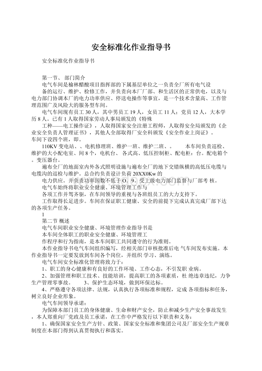 安全标准化作业指导书Word格式文档下载.docx