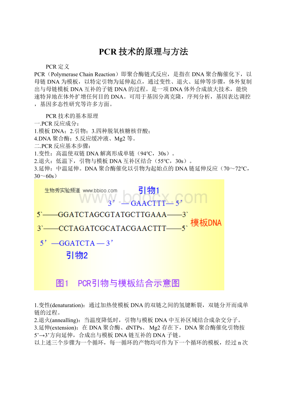 PCR技术的原理与方法.docx_第1页