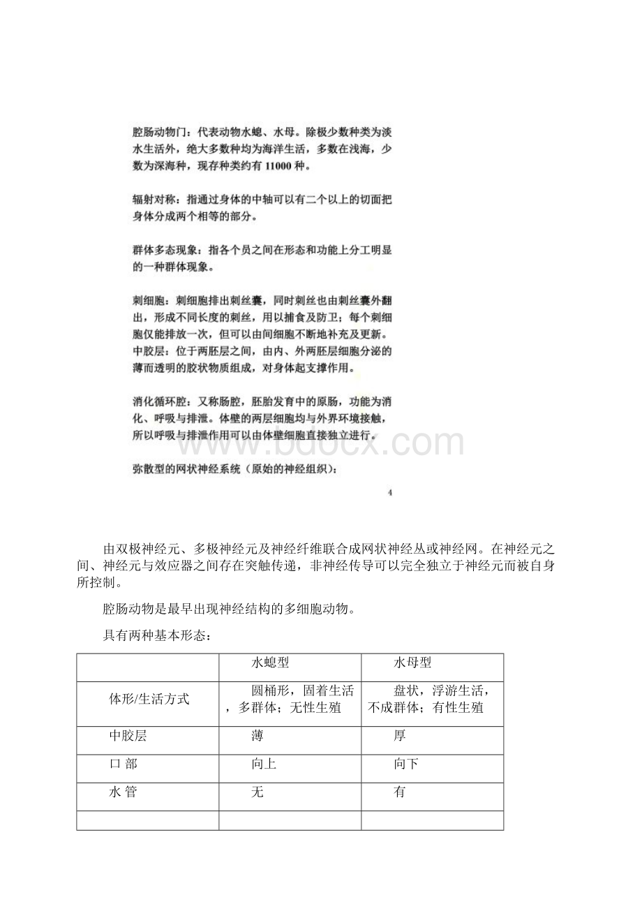 动物学基础知识Word文件下载.docx_第3页