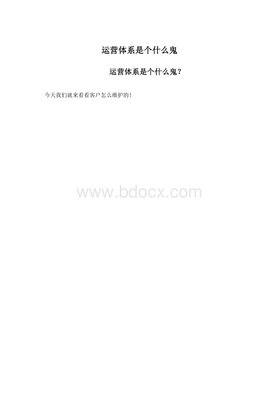 运营体系是个什么鬼文档格式.docx