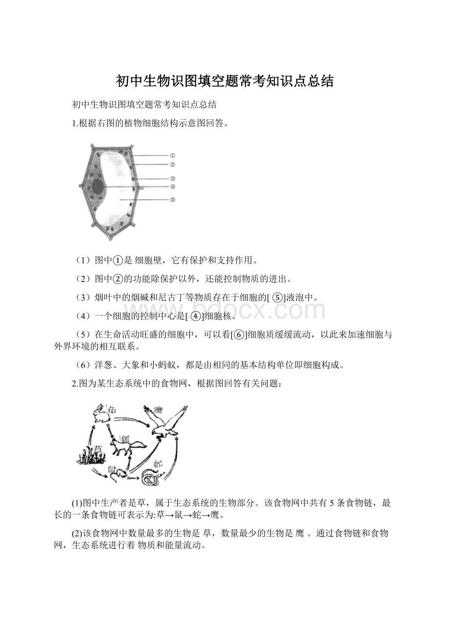 初中生物识图填空题常考知识点总结.docx_第1页