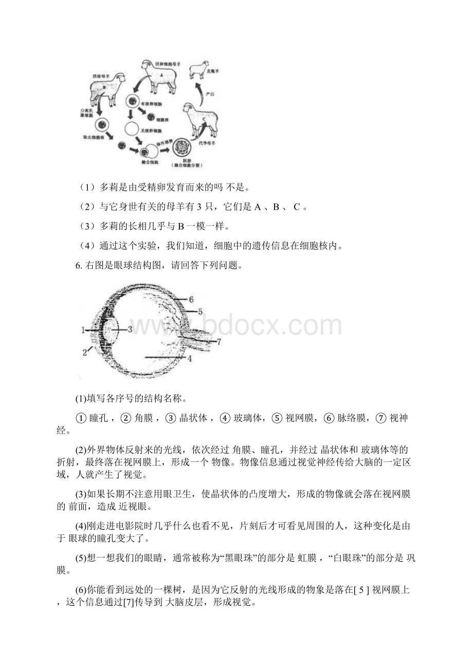 初中生物识图填空题常考知识点总结.docx_第3页