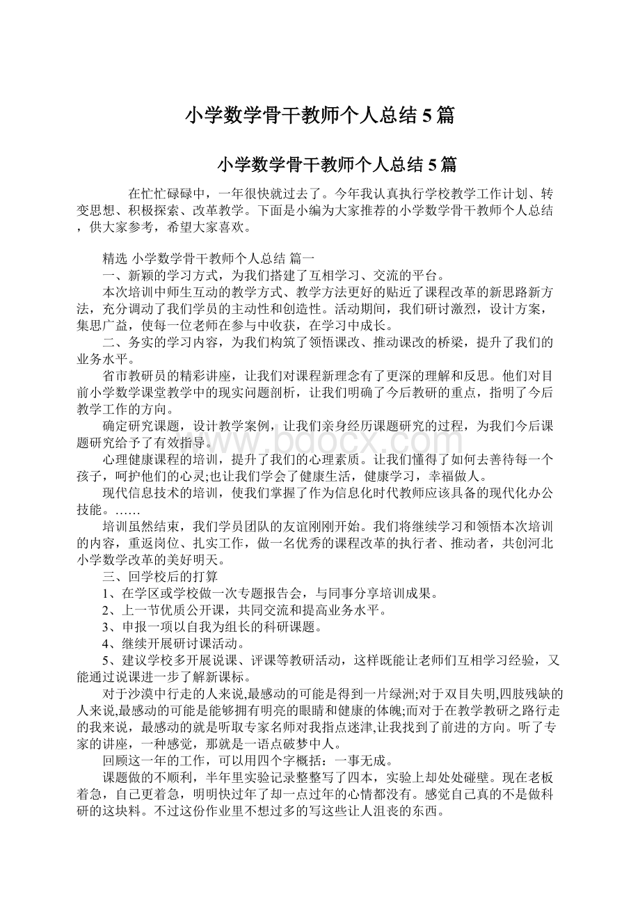 小学数学骨干教师个人总结5篇.docx_第1页