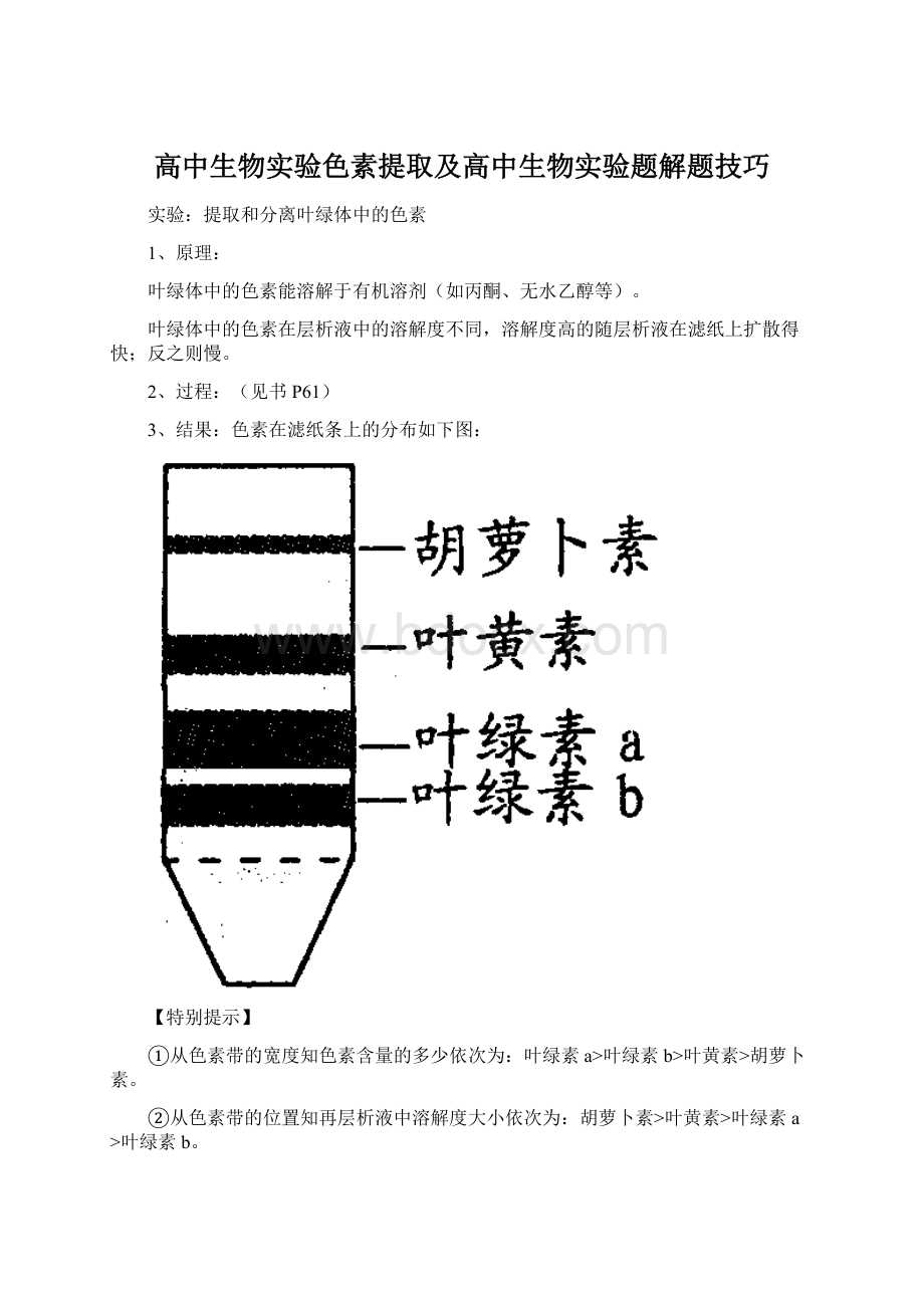 高中生物实验色素提取及高中生物实验题解题技巧.docx_第1页