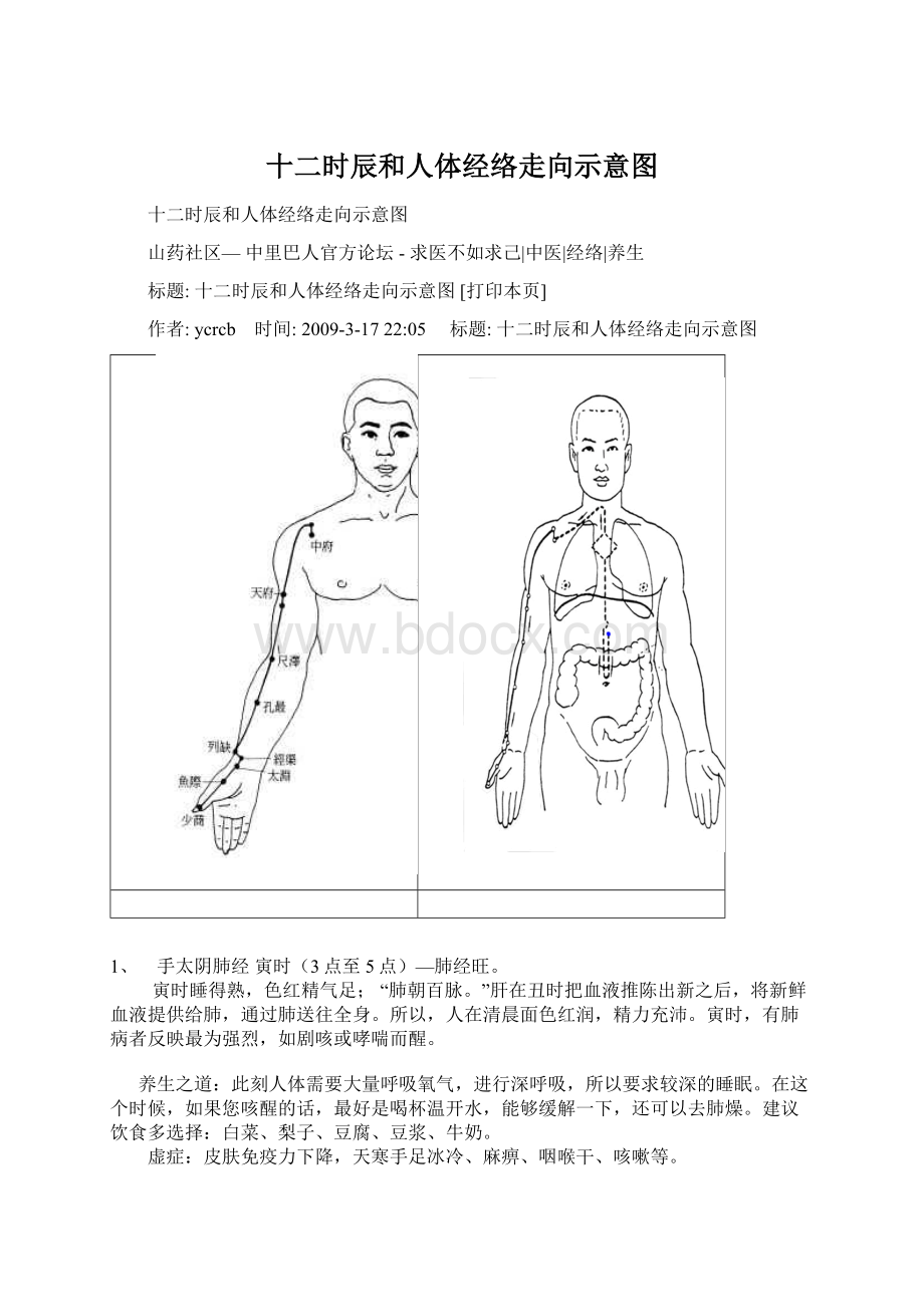 十二时辰和人体经络走向示意图.docx_第1页