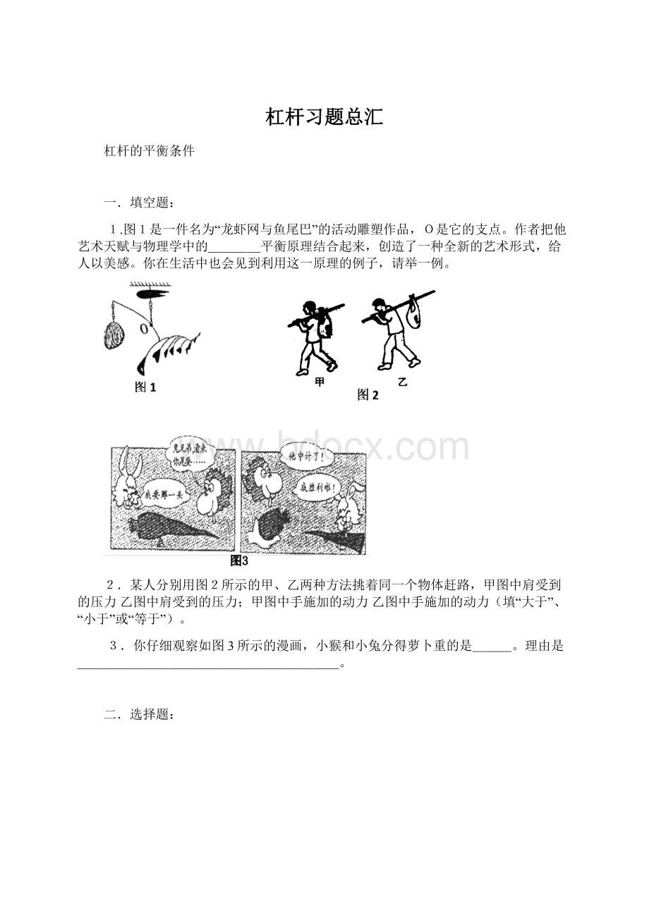 杠杆习题总汇文档格式.docx