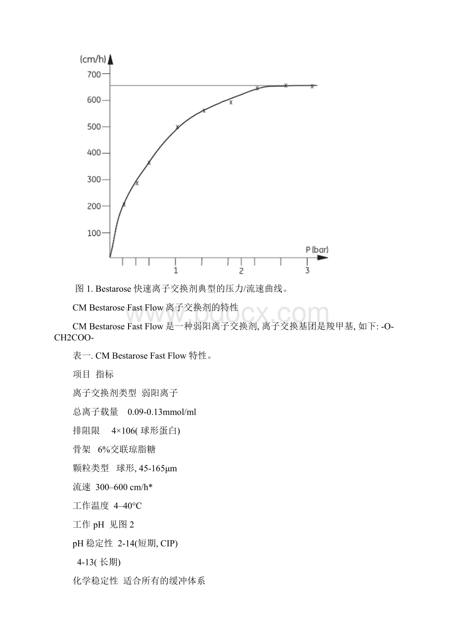 离子交换层析说明书模板文档格式.docx_第2页