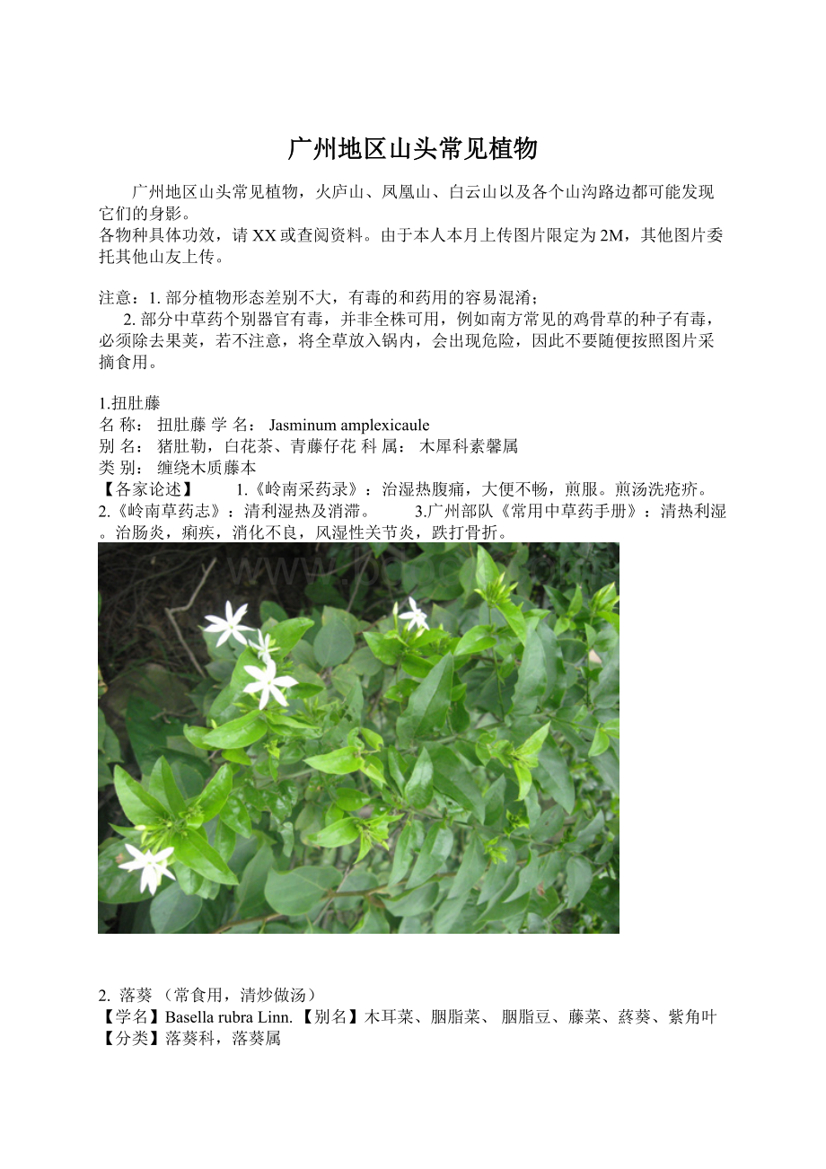 广州地区山头常见植物.docx