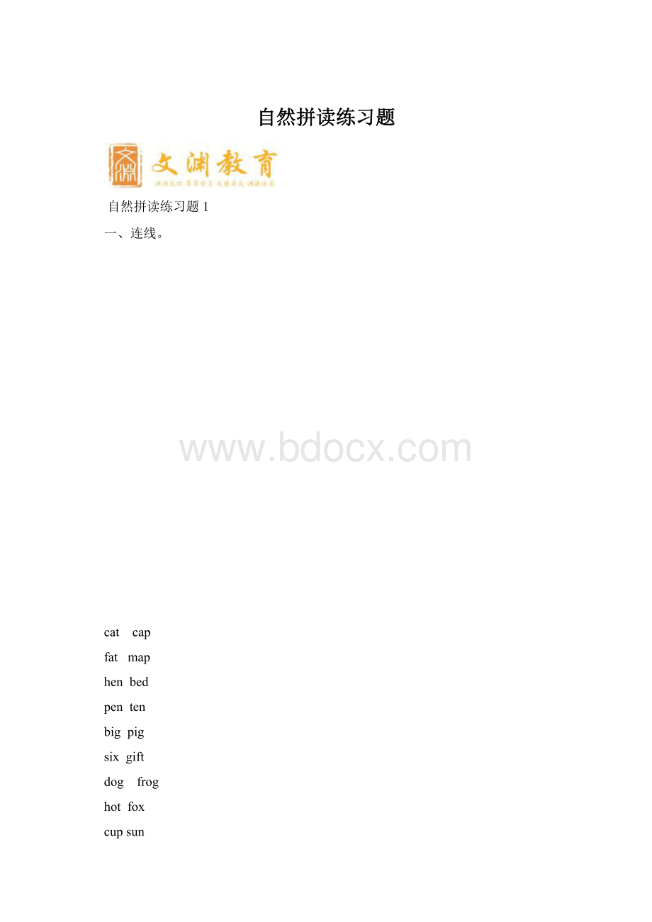 自然拼读练习题文档格式.docx