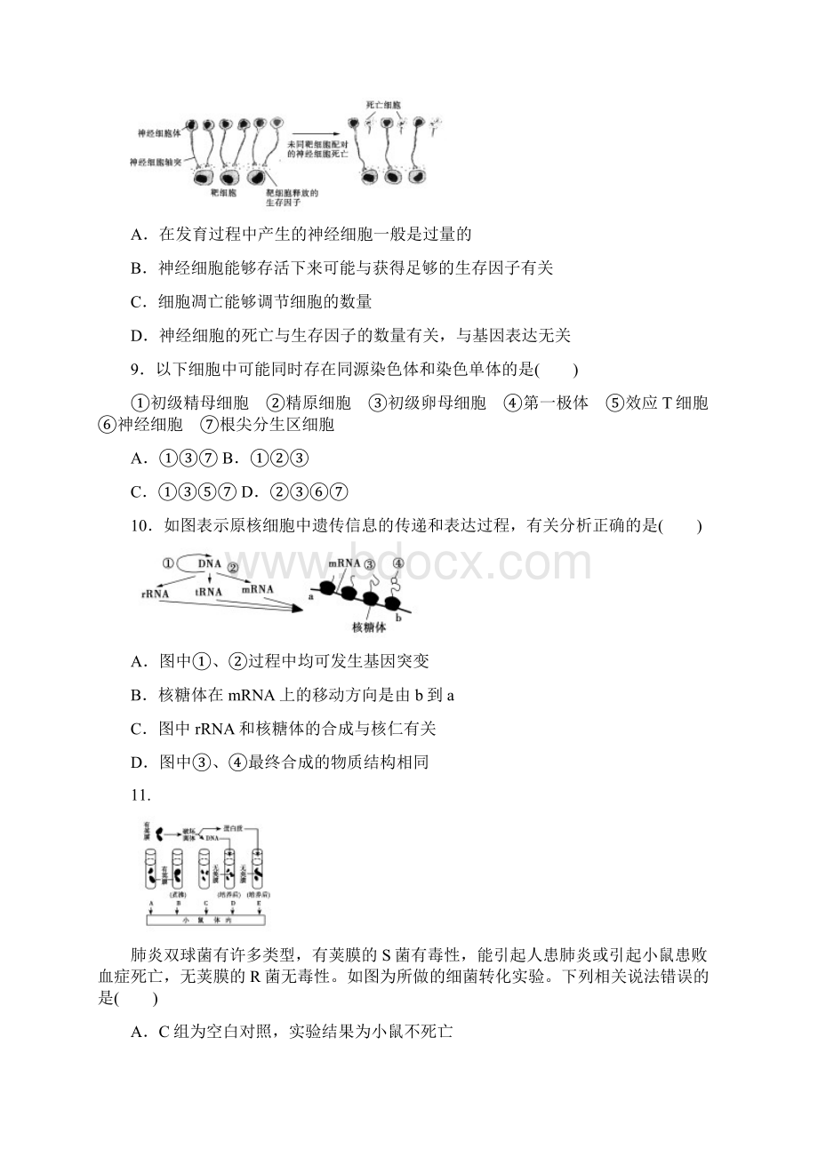 版高考生物模拟试题精编12Word格式文档下载.docx_第3页