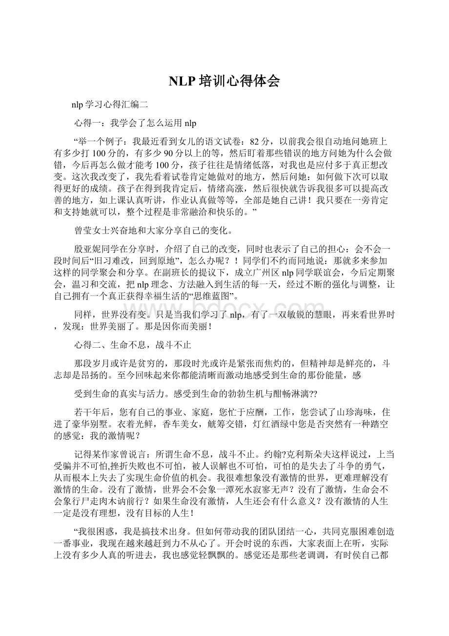 NLP培训心得体会文档格式.docx