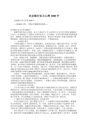 农业银行实习心得3000字.docx