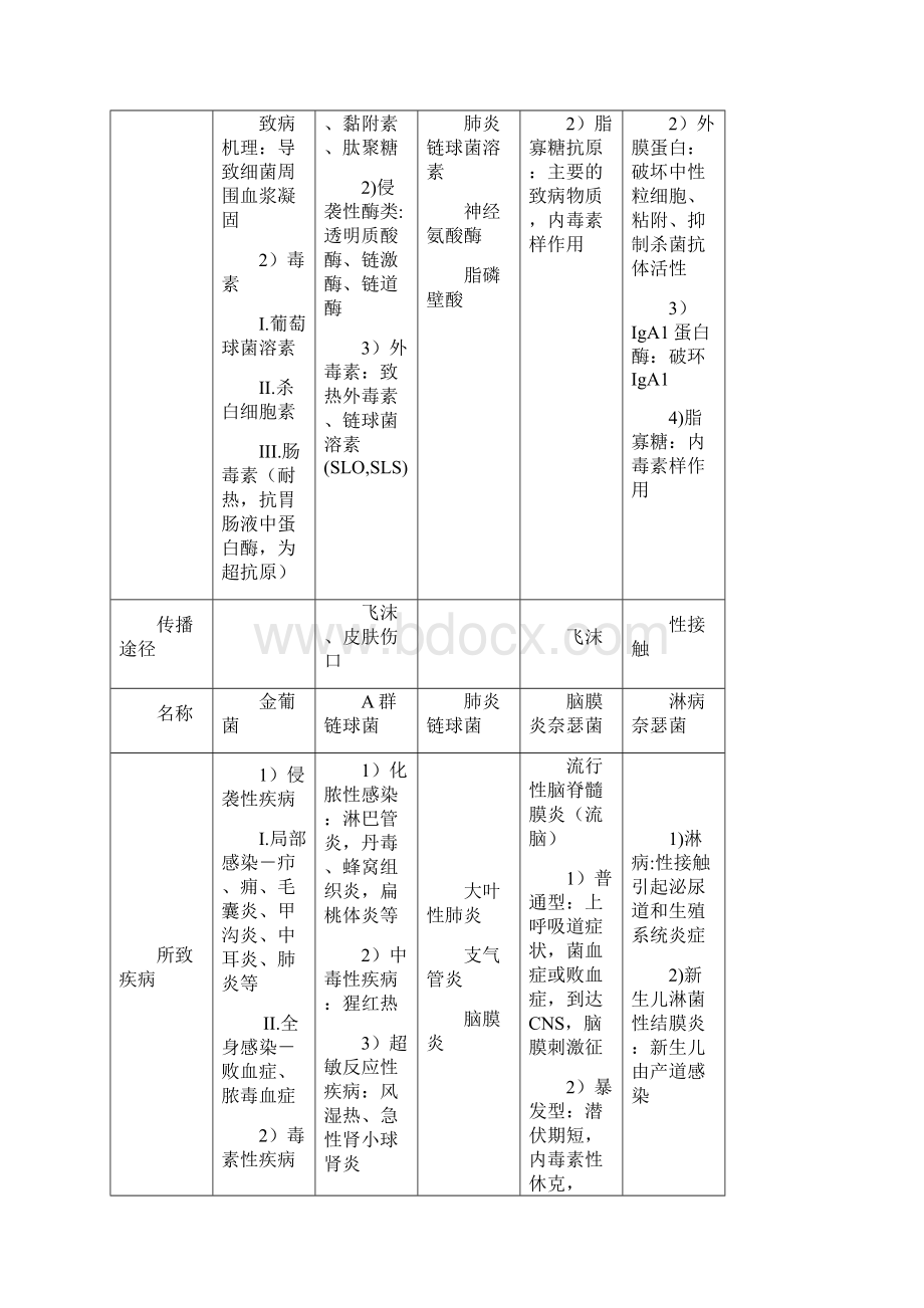 细菌比较表格.docx_第3页