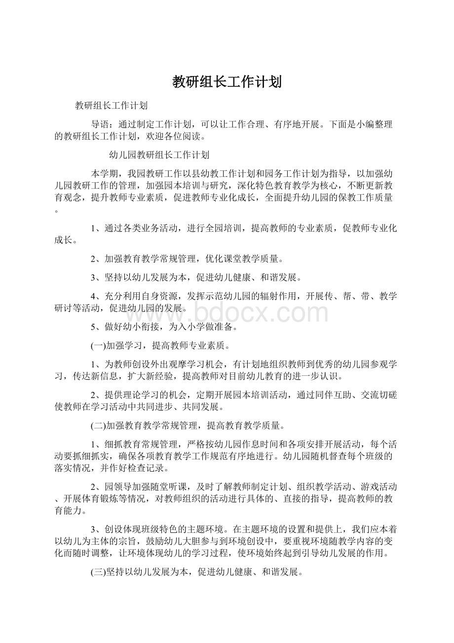 教研组长工作计划Word文档格式.docx