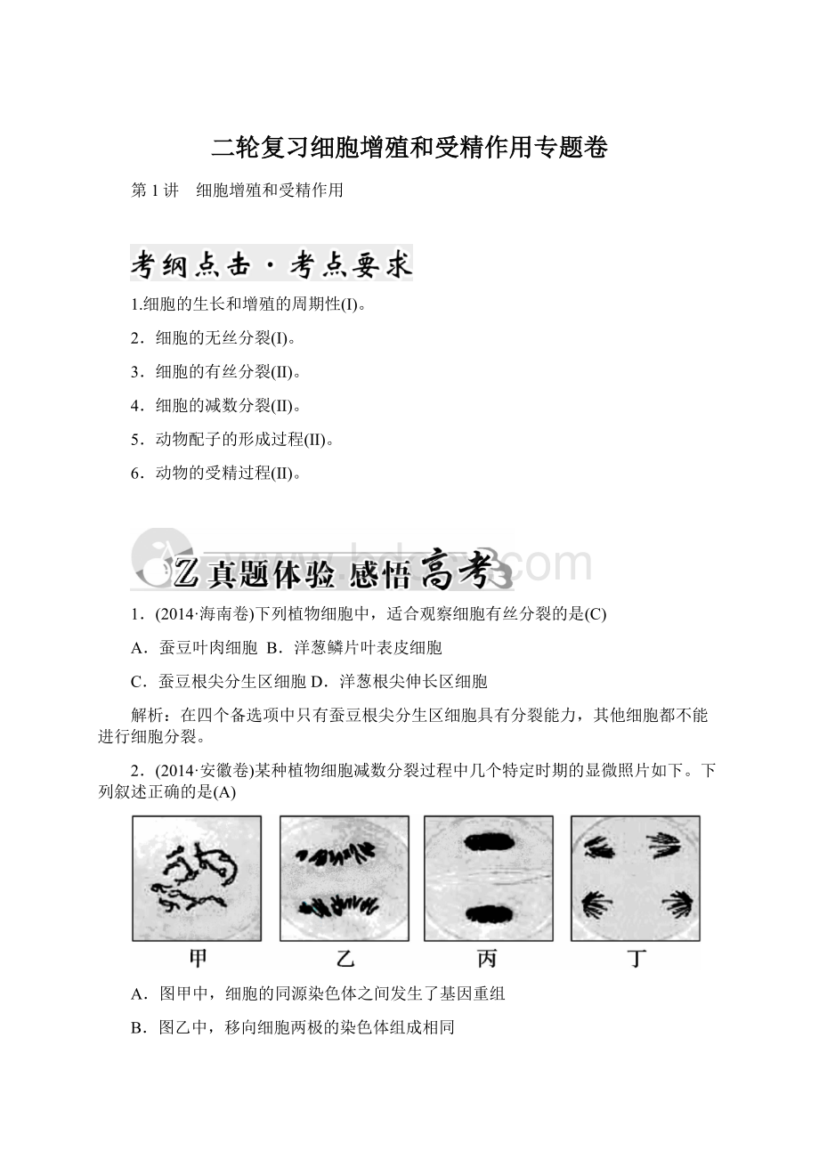 二轮复习细胞增殖和受精作用专题卷Word文件下载.docx_第1页