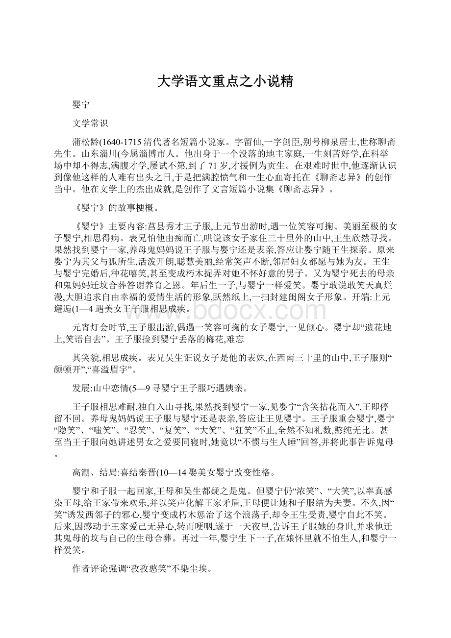 大学语文重点之小说精.docx_第1页