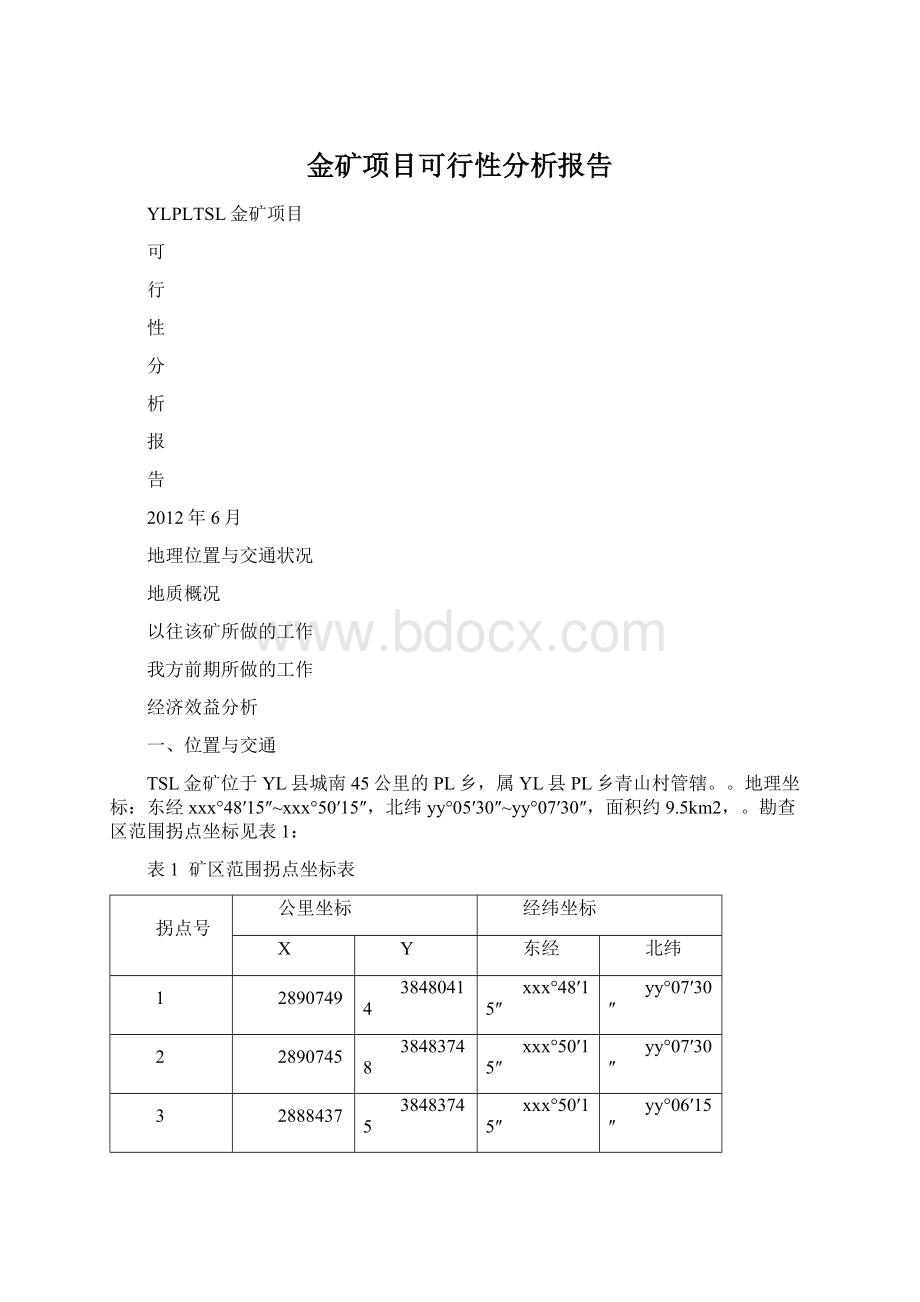 金矿项目可行性分析报告Word文件下载.docx